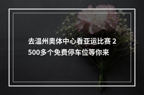 去温州奥体中心看亚运比赛 2500多个免费停车位等你来