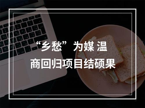 “乡愁”为媒 温商回归项目结硕果