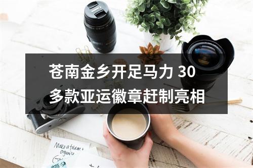 苍南金乡开足马力 30多款亚运徽章赶制亮相