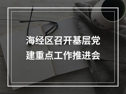 海经区召开基层党建重点工作推进会