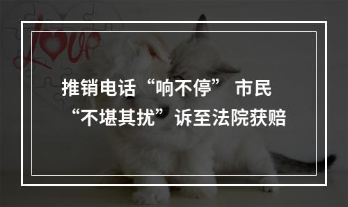 推销电话“响不停” 市民“不堪其扰”诉至法院获赔