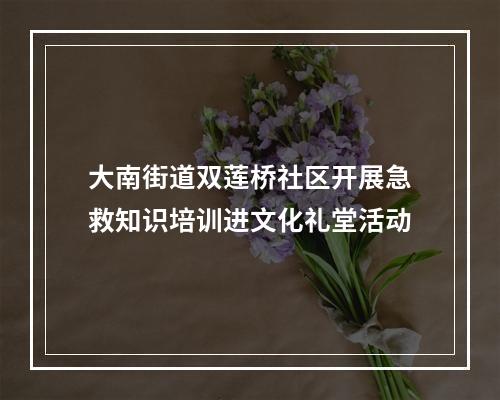 大南街道双莲桥社区开展急救知识培训进文化礼堂活动