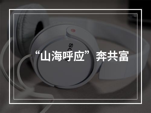 “山海呼应”奔共富