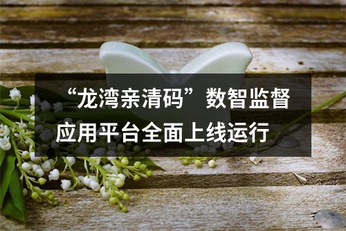 “龙湾亲清码”数智监督应用平台全面上线运行