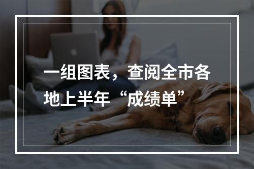一组图表，查阅全市各地上半年“成绩单”