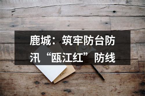 鹿城：筑牢防台防汛“瓯江红”防线