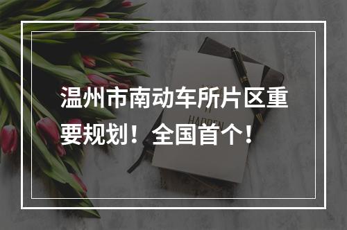 温州市南动车所片区重要规划！全国首个！