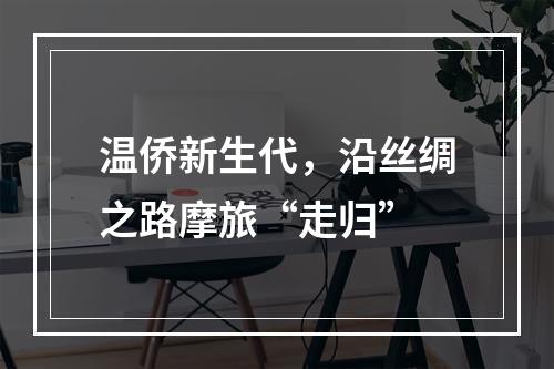 温侨新生代，沿丝绸之路摩旅“走归”