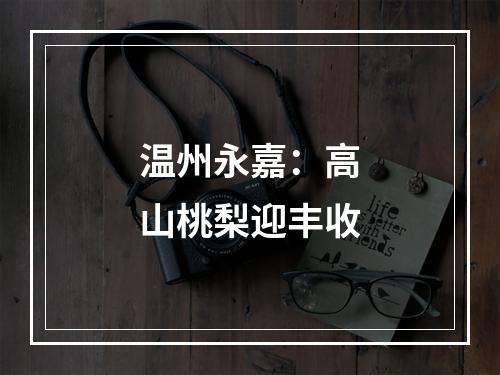 温州永嘉：高山桃梨迎丰收