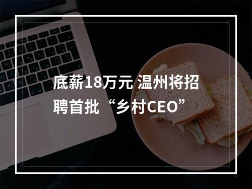 底薪18万元 温州将招聘首批“乡村CEO”