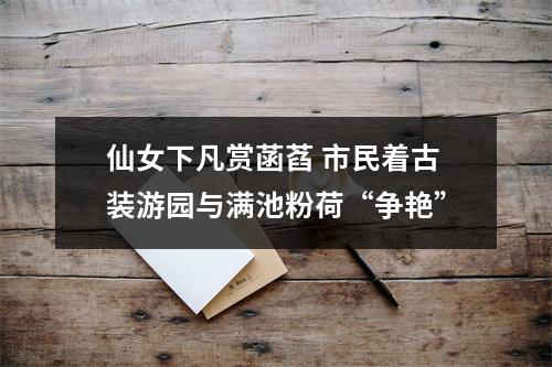 仙女下凡赏菡萏 市民着古装游园与满池粉荷“争艳”