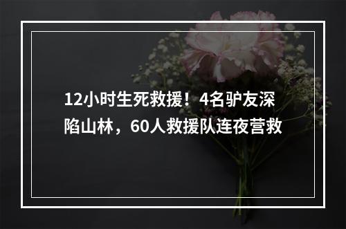 12小时生死救援！4名驴友深陷山林，60人救援队连夜营救