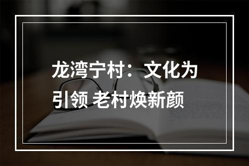 龙湾宁村：文化为引领 老村焕新颜