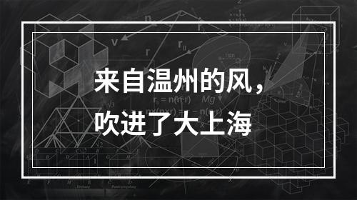 来自温州的风，吹进了大上海