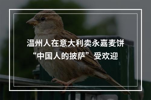 温州人在意大利卖永嘉麦饼 “中国人的披萨”受欢迎