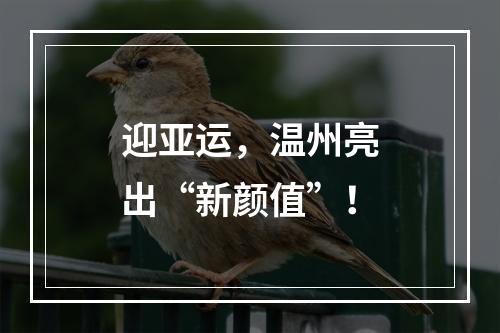 迎亚运，温州亮出“新颜值”！