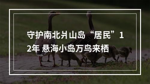 守护南北爿山岛“居民”12年 悬海小岛万鸟来栖