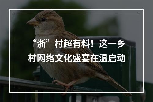 “浙”村超有料！这一乡村网络文化盛宴在温启动