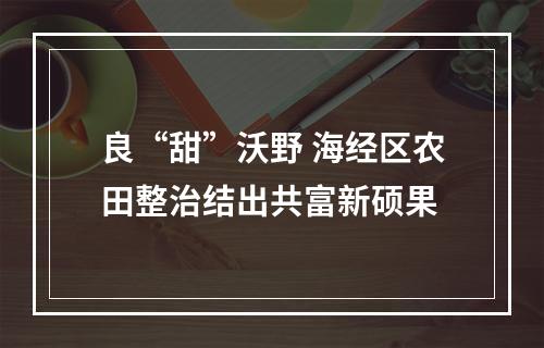 良“甜”沃野 海经区农田整治结出共富新硕果