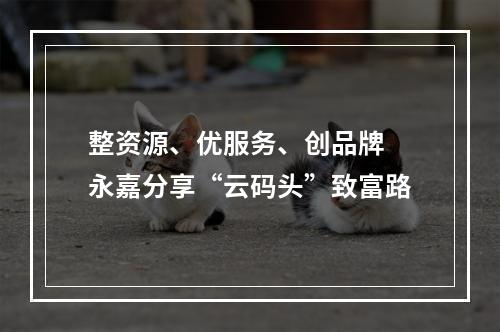 整资源、优服务、创品牌 永嘉分享“云码头”致富路