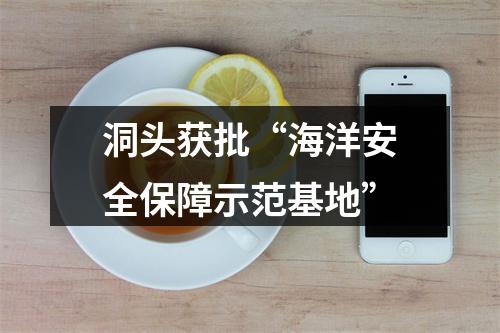 洞头获批“海洋安全保障示范基地”