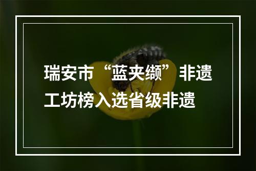 瑞安市“蓝夹缬”非遗工坊榜入选省级非遗