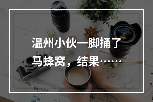 温州小伙一脚捅了马蜂窝，结果……