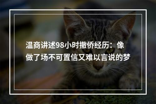 温商讲述98小时撤侨经历：像做了场不可置信又难以言说的梦