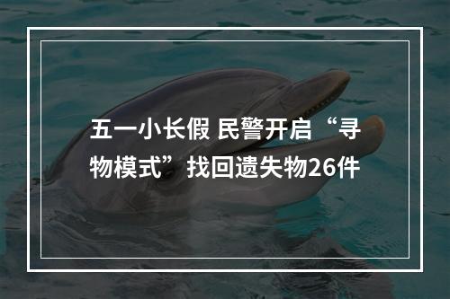 五一小长假 民警开启“寻物模式”找回遗失物26件