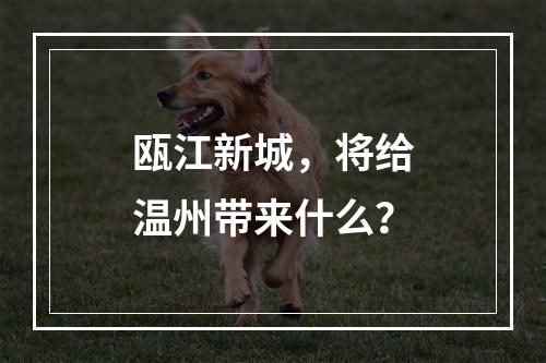 瓯江新城，将给温州带来什么？