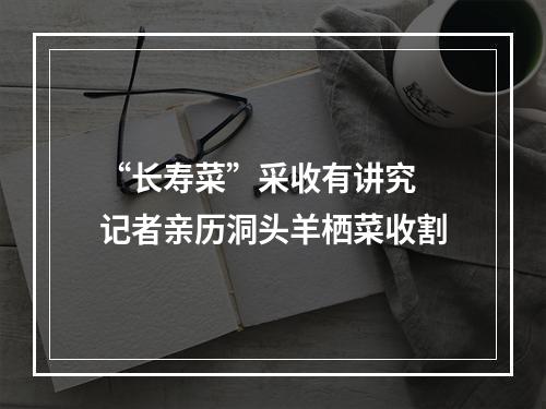 “长寿菜”采收有讲究 记者亲历洞头羊栖菜收割
