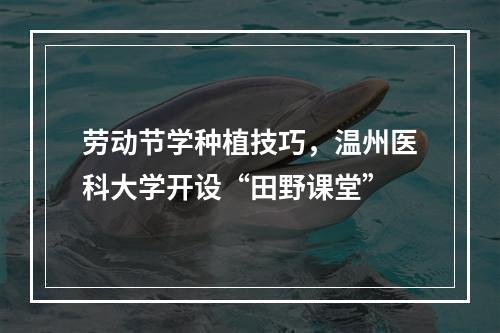 劳动节学种植技巧，温州医科大学开设“田野课堂”