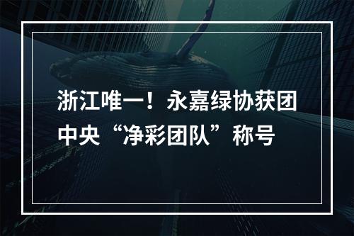 浙江唯一！永嘉绿协获团中央“净彩团队”称号