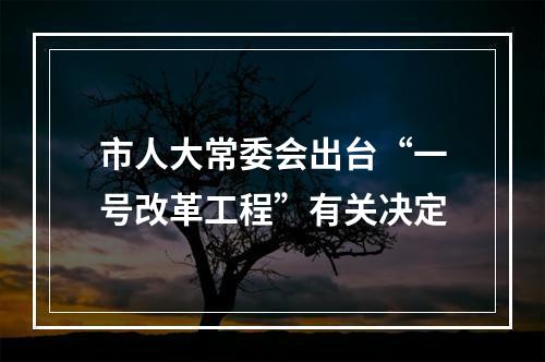 市人大常委会出台“一号改革工程”有关决定