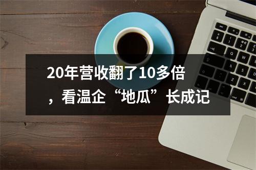 20年营收翻了10多倍，看温企“地瓜”长成记