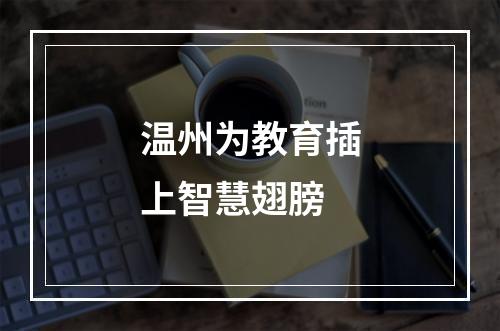 温州为教育插上智慧翅膀