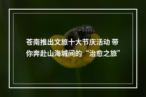 苍南推出文旅十大节庆活动 带你奔赴山海城间的“治愈之旅”