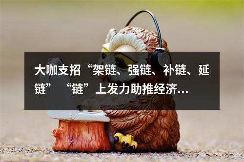 大咖支招“架链、强链、补链、延链” “链”上发力助推经济高质量发展