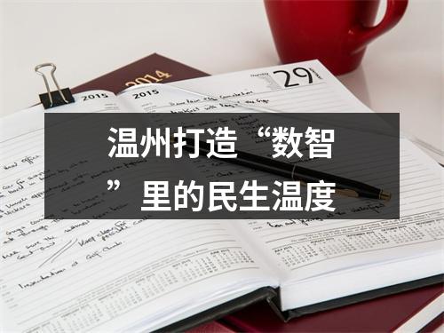温州打造“数智”里的民生温度