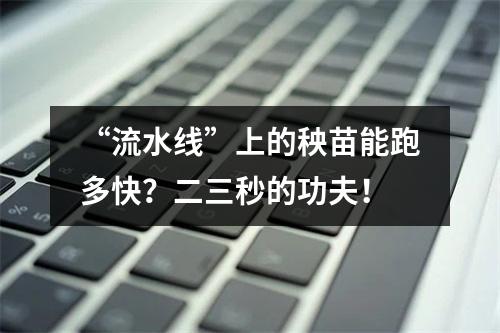 “流水线”上的秧苗能跑多快？二三秒的功夫！