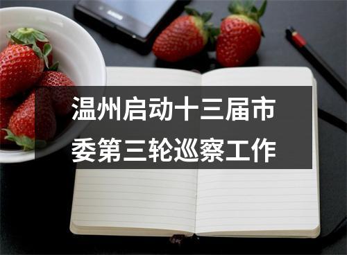 温州启动十三届市委第三轮巡察工作