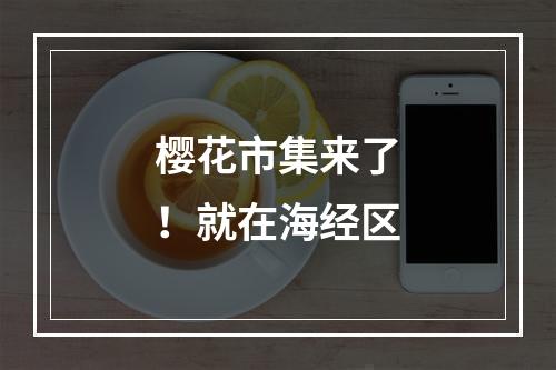 樱花市集来了！就在海经区