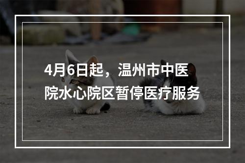 4月6日起，温州市中医院水心院区暂停医疗服务