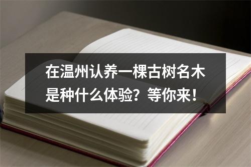 在温州认养一棵古树名木是种什么体验？等你来！