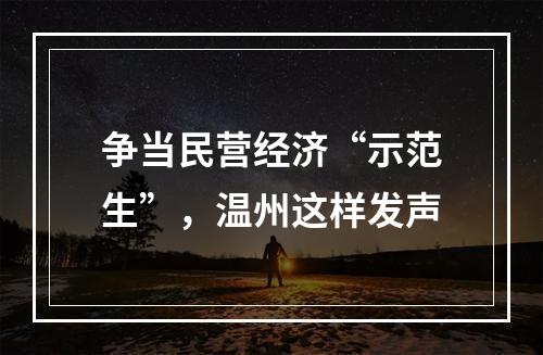 争当民营经济“示范生”，温州这样发声