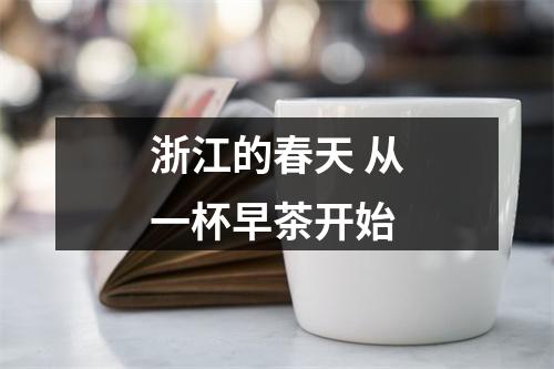 浙江的春天 从一杯早茶开始