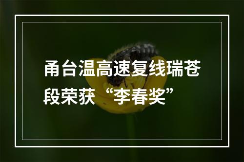 甬台温高速复线瑞苍段荣获“李春奖”