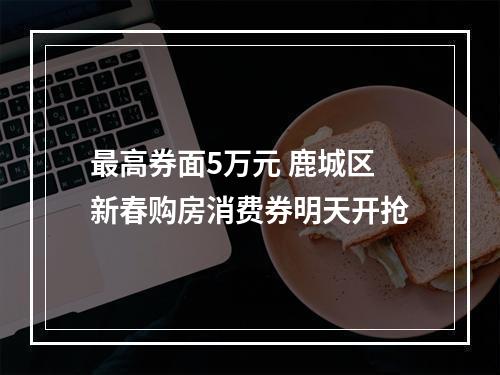 最高券面5万元 鹿城区新春购房消费券明天开抢
