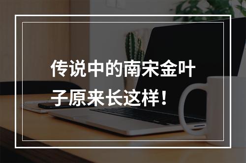 传说中的南宋金叶子原来长这样！