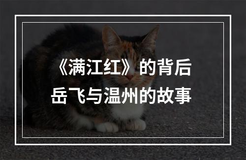《满江红》的背后 岳飞与温州的故事